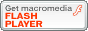 flash�v���[���[�_�E�����[�h